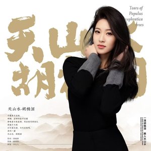 天山水 胡杨泪